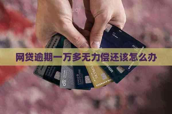 网贷逾期一万多无力偿还该怎么办