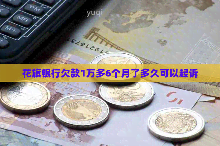 花旗银行欠款1万多6个月了多久可以起诉