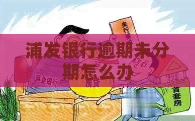 浦发银行逾期未分期怎么办