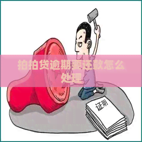 逾期要还款怎么处理