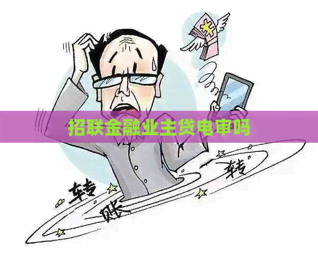招联金融业主贷电审吗