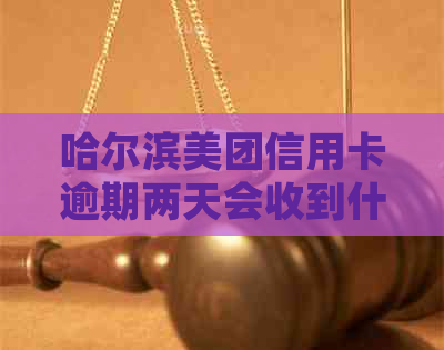 哈尔滨美团信用卡逾期两天会收到什么处罚