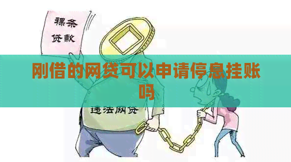 刚借的网贷可以申请停息挂账吗