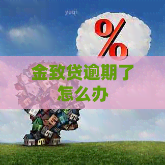 金致贷逾期了怎么办