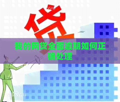 我的网贷全面逾期如何正确处理