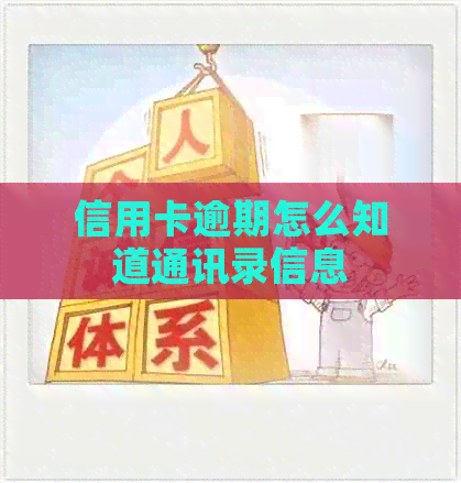 信用卡逾期怎么知道通讯录信息