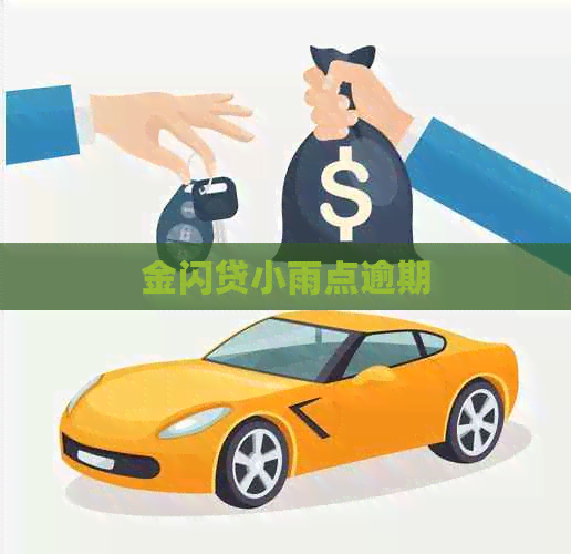 金闪贷小雨点逾期