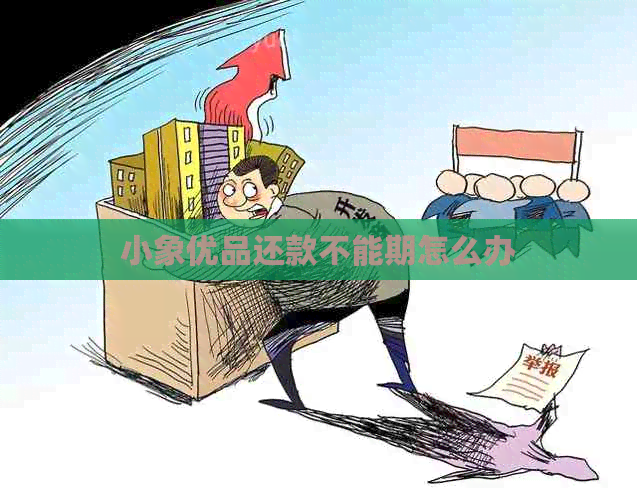 小象优品还款不能期怎么办