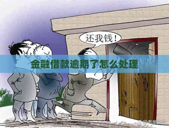 金融借款逾期了怎么处理