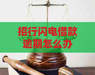 招行闪电借款逾期怎么办