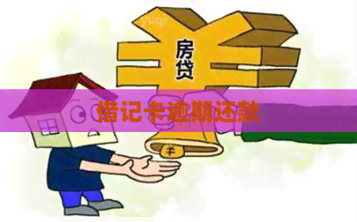 借记卡逾期还款