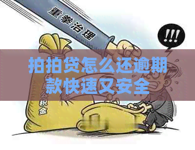 怎么还逾期款快速又安全