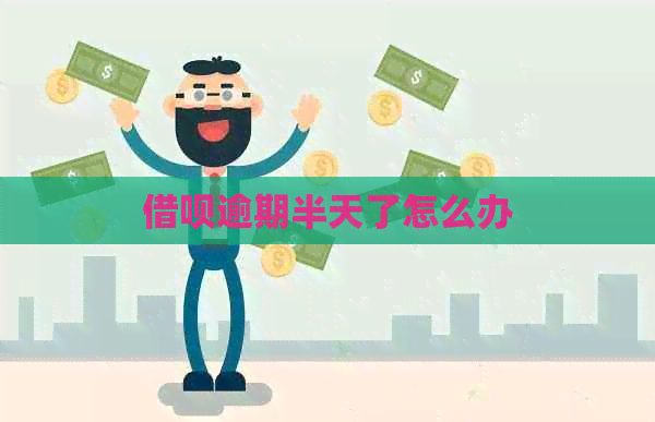 借呗逾期半天了怎么办