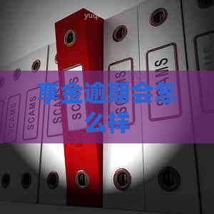 享金逾期会怎么样