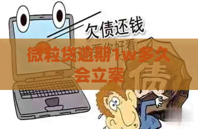 微粒贷逾期1w多久会立案