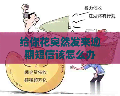给你花突然发来逾期短信该怎么办