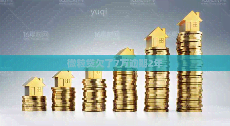 微粒贷欠了7万逾期2年