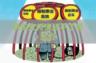 京东支付宝还不了怎么办