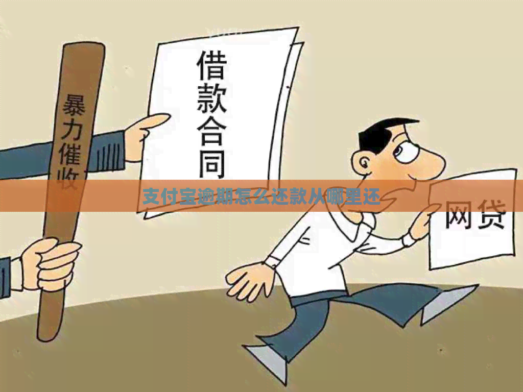 支付宝逾期怎么还款从哪里还