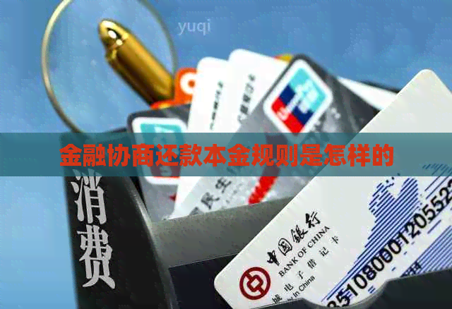 金融协商还款本金规则是怎样的