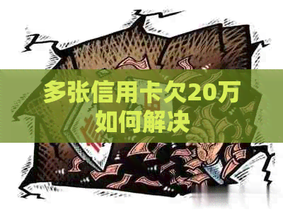 多张信用卡欠20万如何解决