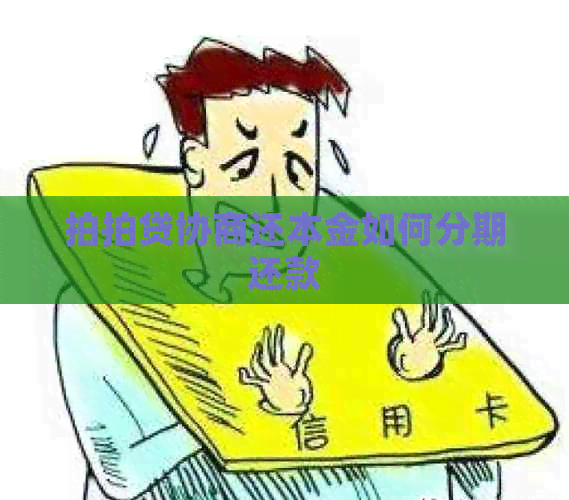 协商还本金如何分期还款