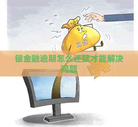 银金融逾期怎么还款才能解决问题