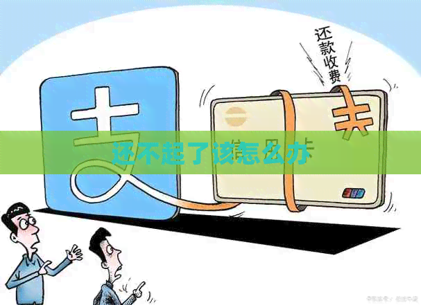 还不起了该怎么办