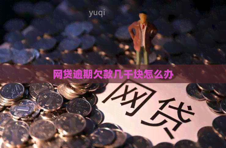 网贷逾期欠款几千块怎么办