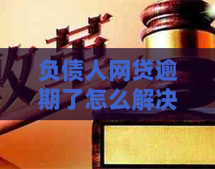 负债人网贷逾期了怎么解决