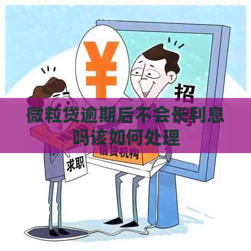 微粒贷逾期后不会长利息吗该如何处理