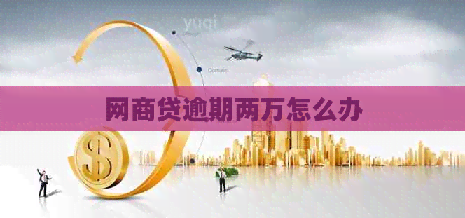 网商贷逾期两万怎么办