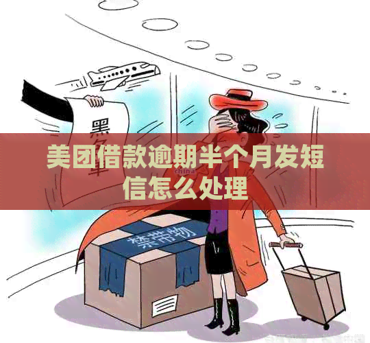 美团借款逾期半个月发短信怎么处理