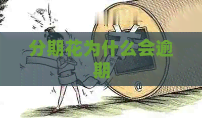 分期花为什么会逾期