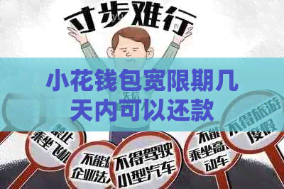 小花钱包宽限期几天内可以还款