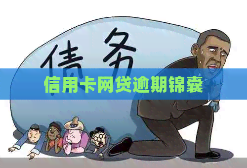 信用卡网贷逾期锦囊