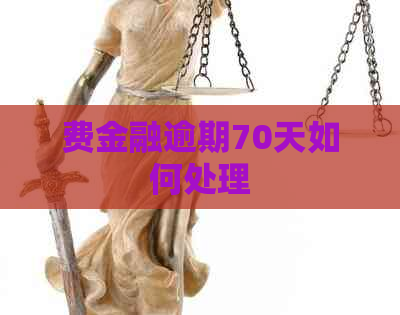 费金融逾期70天如何处理