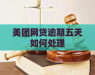 美团网贷逾期五天如何处理