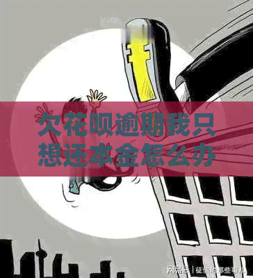 欠花呗逾期我只想还本金怎么办