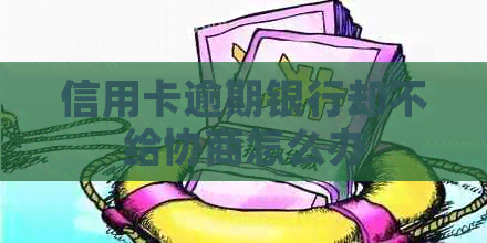 信用卡逾期银行却不给协商怎么办