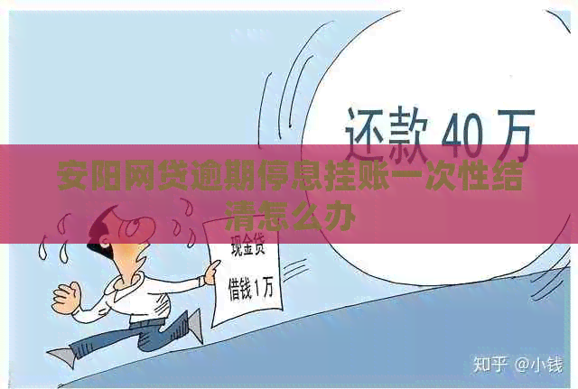 安阳网贷逾期停息挂账一次性结清怎么办