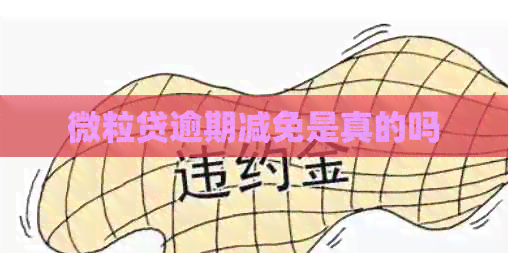 微粒贷逾期减免是真的吗