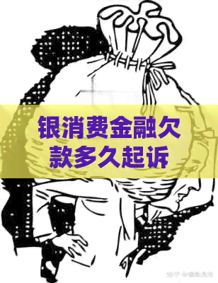银消费金融欠款多久起诉
