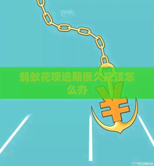 蚂蚁花呗逾期很久应该怎么办
