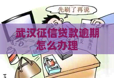 武汉贷款逾期怎么办理