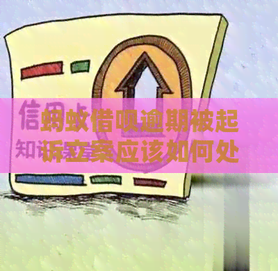 蚂蚁网贷逾期被起诉立案应该如何处理