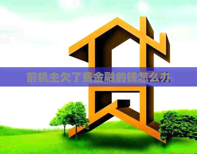 前机主欠了费金融的钱怎么办