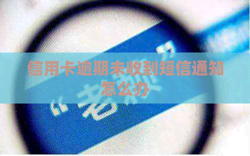 信用卡逾期未收到短信通知怎么办