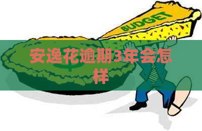 安逸花逾期3年会怎样