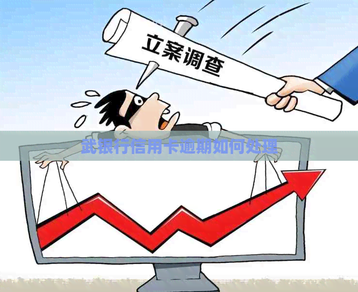 武银行信用卡逾期如何处理